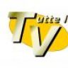 TutteLeTv