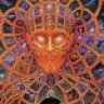TheMorpheus81