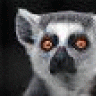 JackMu