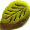 wasabi_andre