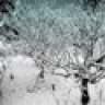 mrTelemark