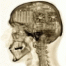 hardbrain