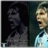 nedved18