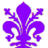 darktulipan