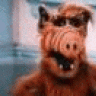 Alfredix