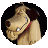 matti_cr5