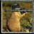 d4nj1