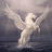 pegasolabs