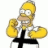 Homer crociato